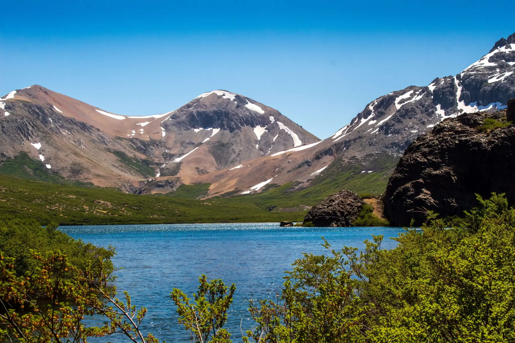 Origen Native Panal — Laguna Achibueno, Cajón de Achibueno, Linares